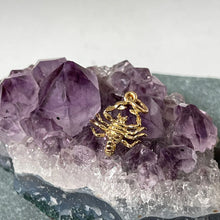 画像をギャラリービューアに読み込む, 【Mirabelle】スコーピオンチャームネックレス