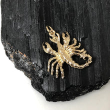 画像をギャラリービューアに読み込む, 【Mirabelle】ラージスコーピオンチャームネックレス