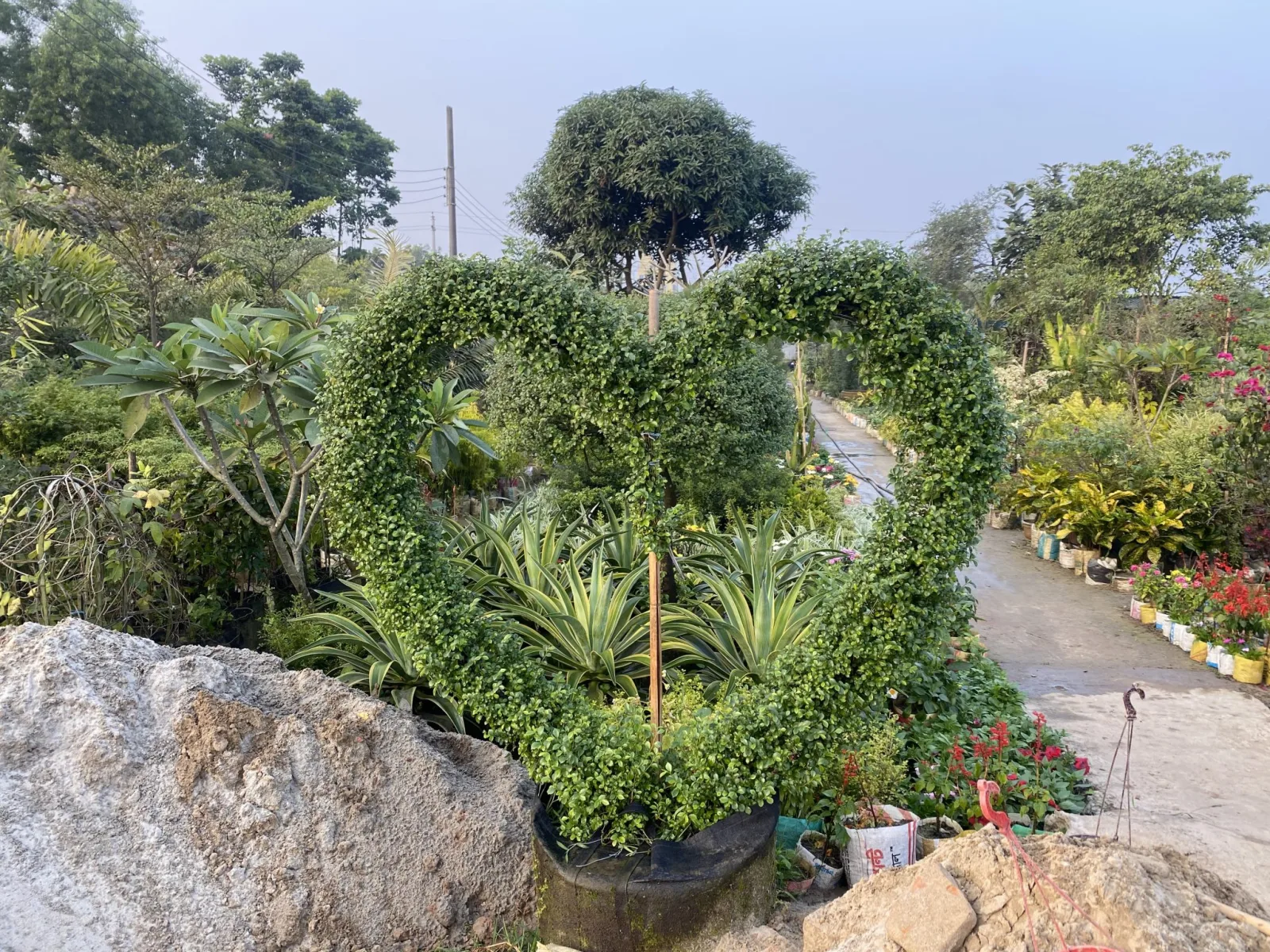 Creating a Lush Indoor Jungle: Design Tips for Plant Arrangement