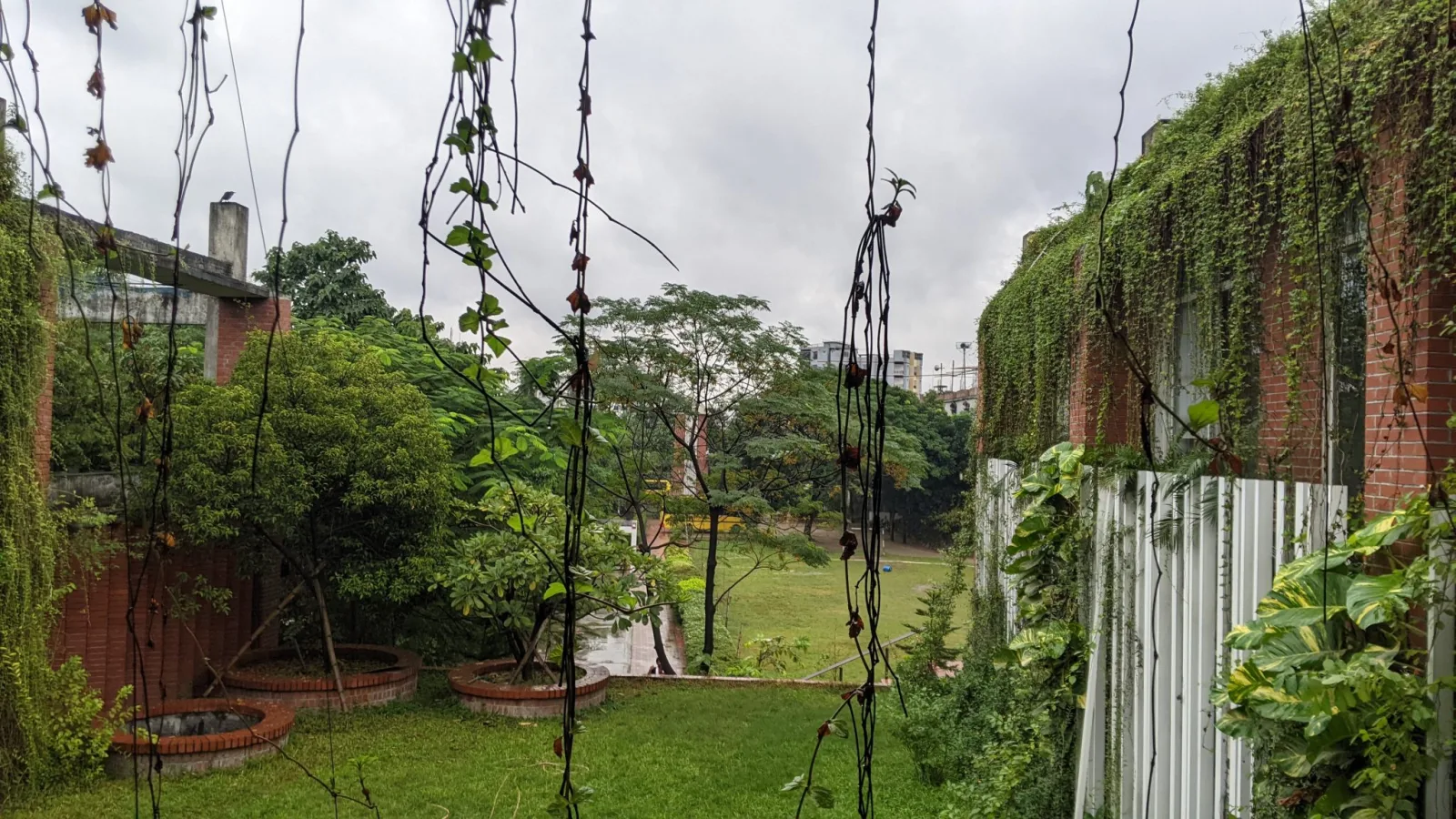Maximize Your Space: Vertical Plant Displays